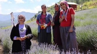 Adana'da tarlalar mor gelinliğini giydi, ziyaretçi için geri sayım başladı