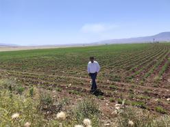 Silopi’ye ‘Sera Organize Tarım Bölgesi’