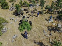 Adıyaman'da kaybolan sürü dronla bulundu