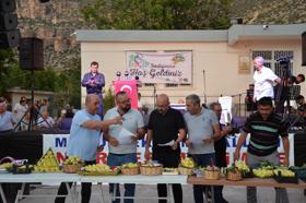 Mut’ta İncir Festivali yapıldı