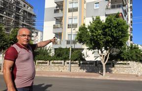 Ağacın içinden geçen 'elektrik telleri' korkusu