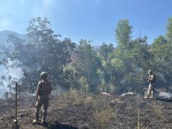 Tunceli'de çıkan örtü yangını 2 saatte söndürüldü