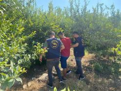 Mersin’de aranan firari, limon bahçesinde yakalandı