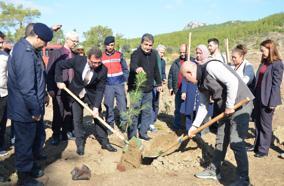 Serik'te fidanlar toprakla buluştu