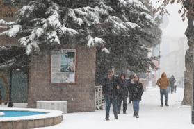 Van'ın Bahçesaray ile Bitlis merkez ve 4 ilçesinde eğitime kar engeli