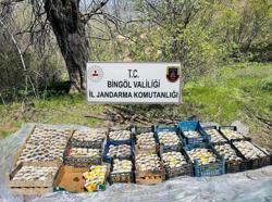 Bingöl'de Pet Bardaklarda 480 Kök Hint Keneviri Ele Geçirildi