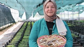 Emekli olduktan sonra girişimci oldu! 51 yaşında hayatını sil baştan kurdu