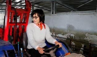 Güney Kore'de düşündü, Kocaeli'de hayata geçirdi! Genç kadın fabrika kurdu, Üretim 22 dönüme ulaştı