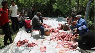 Hakkari'de asırlık gelenek! Bayram namazı sonrası başlıyor, 100 hayvan kesilip yapılıyor