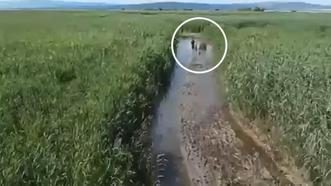 Uluabat Gölü'nde mahsur kalan kişi jandarma ekiplerince kurtarıldı