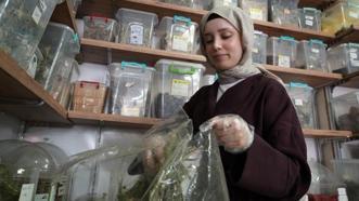 Kilosu 10 bin lira, paket paket satıyor! Yazın gelmesiyle satışlar patladı