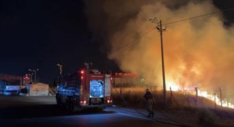 İzmir'de otluktaki yangın 1 saatte söndürüldü