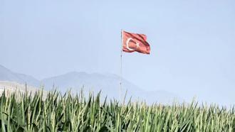 Konya'da mısır ekim alanında görüldü: 10 gün gecikince acil uyarı geldi