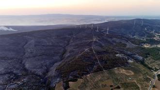 Tekirdağ'daki orman yangını kontrol altına alındı