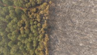 Bursa'daki orman yangını 4'üncü gününde; yanan alanlar dronla görüntülendi