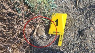 İznik Gölü sahilinde bulunan el bombası imha edildi