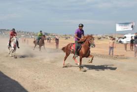 Türkiye'nin şampiyon rahvan atları Menemen'de yarıştı