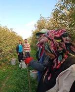 Kozan'da tarım işçileri Atatürk'ü andı