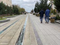 Eskişehir'in merkezinde kaderine terk edildi! Görüntüsüyle dillere düştü