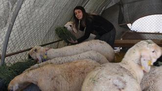 Malatyalı kadın girişimci üniversiteden mezun oldu, devlet desteğiyle köyünde iş kurdu! 3 yılda 6 katı kazanç sağladı