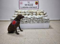 Van'da arazide 60 kilo skunk ele geçirildi