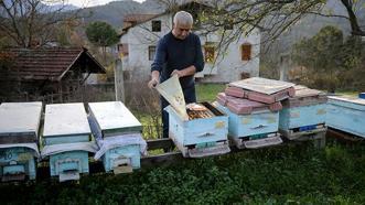 Kilosu 1.200 TL'ye dayandı! Dünyanın en önemli 100 noktasından birinden geliyor! Karabük Yenice Ihlamur Balı'ndan tarihi başarı: Markalaşma hamlesi başladı