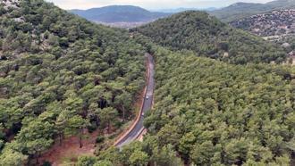 Muğla'da böylesi görülmedi: 328 milyon TL tutuyor