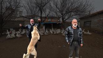 Asgari ücretle çalışmayı reddedip İstanbul'u terk etti! 2 bin TL sermayeyle başlayıp köyünü ürettim üssüne çevirdi