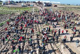 Menemen Belediyesi'nden  fidan dikme etkinliği