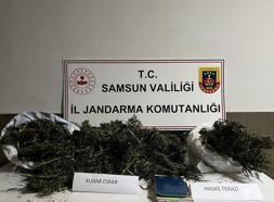 Samsun’da uyuşturucu operasyonu: 3,5 kilo kubar esrar ele geçirildi