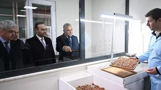 Sakarya’da 52 milyon dolarlık dev proje: Fındık kabuğundan aktif karbona