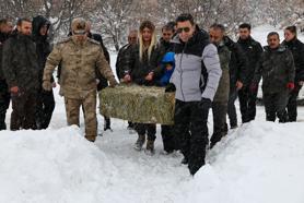 Tunceli'de kar kalınlığı yarım metreyi aştı; yaban hayvanları için doğaya yem bırakıldı