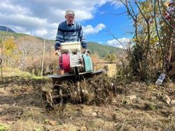 Yeminli mali müşavir Antalya'da toprağa ekti, 53 dönüme ulaştı! Verimi gördü, 2 yılda mesleği bıraktı