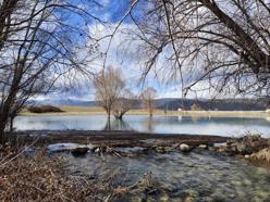 Konya'da tekrar hayat buldu: 2026 Ocak ayında görüldü