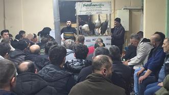 Bursa ve Eskişehir'den Kütahya'ya bu tavuklar için gidiyorlar: Fiyatları el yakıyor