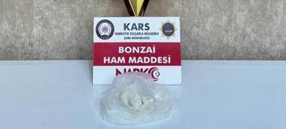 Evden kilolarca uyuşturucu üretecek saf bonzai çıktı
