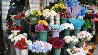 Kayseri'de çiçekçilerde 8 Mart mesaisi