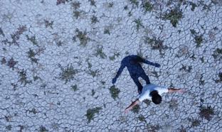 Akşehir Gölü, 8 yıl kuraklık sonrası canlanıyor/Ek fotoğraflar