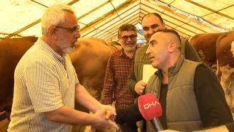 Bahçelievler kurban pazarında sıkı pazarlık: Abim bizi terleterek baya yordu