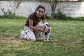 Mersin’de bin 927 can dost yeni yuvasına kavuştu