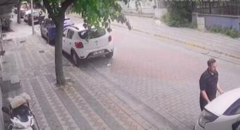Sultangazi'de kaputun altından kuş, direksiyonun içinden kertenkele çıktı