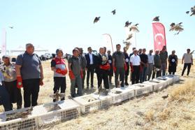 Adıyaman’da 1000 keklik doğaya salındı