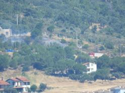 Cunda Adası'nda orman yangını