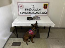 Bingöl'de aranan 4 firari hükümlü yakalandı