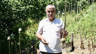Fındığa alternatif aradı, arazisine o ürünleri ekti! Kazancı katladı, yurt dışında kapış kapış gidiyor