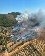 Muğla'da orman yangını