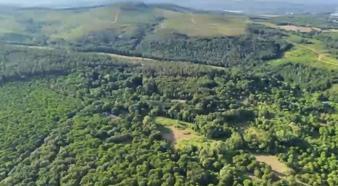 Sultanbeyli’de dron destekli orman denetimi; 513 kişiye 1,9 milyon lira ceza