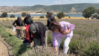 5 yıl önce dikildi, şimdi yüzleri güldürüyor! Kütahya'da kadınların yeni gelir kapısı oldu