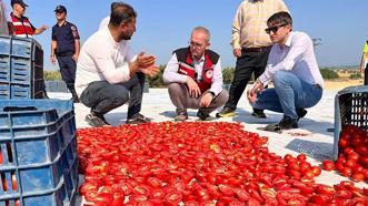 Saruhanlı'nın 'kırmızı altını' dünyaya açılıyor! 1.500 ton ihraç ediliyor