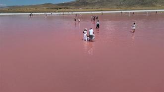Şifa izdihamı! Almanya ve Avusturya'dan akın ettiler: 'Pembe mucize' bir masala dönüştü